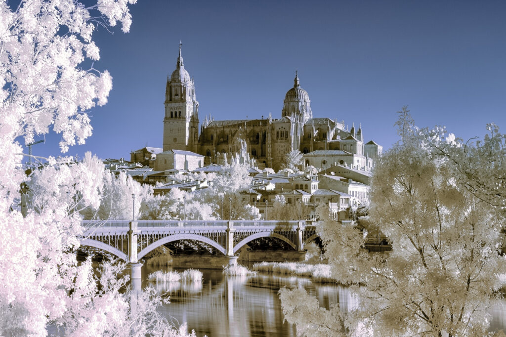 Salamanca and the bridge